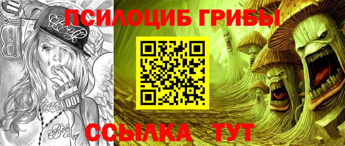 Псилоцибиновые грибы Cubensis Каспийск